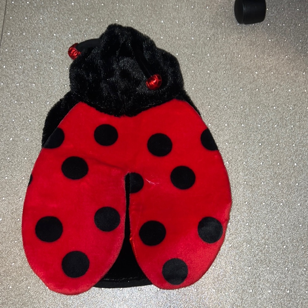 Dog costume